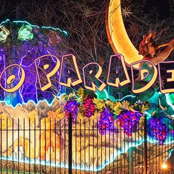 2021 Mardi Gras Video Thumbnail